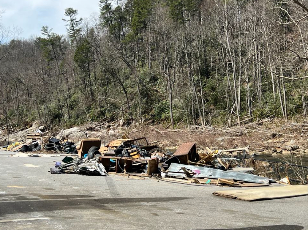 Roadside debris from fallen trees