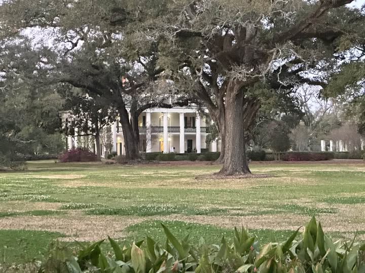 Oak Alley Plantation