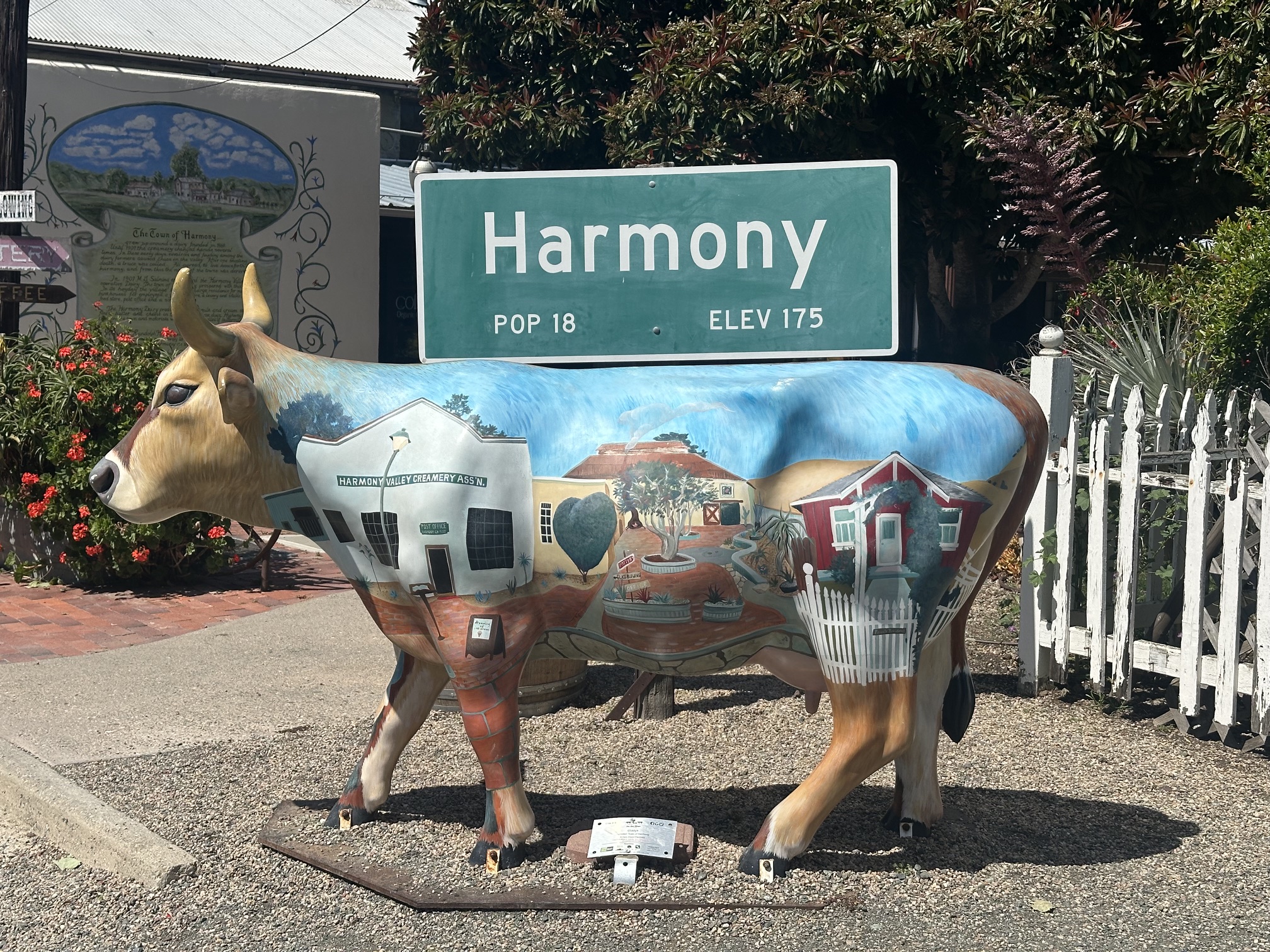 Harmony Pop 18 Elev 175