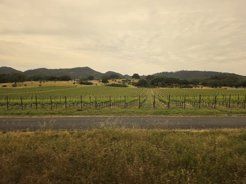 The Countryside in Napa Valley
