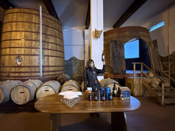 wine tasting in the Douro Valley Portugal