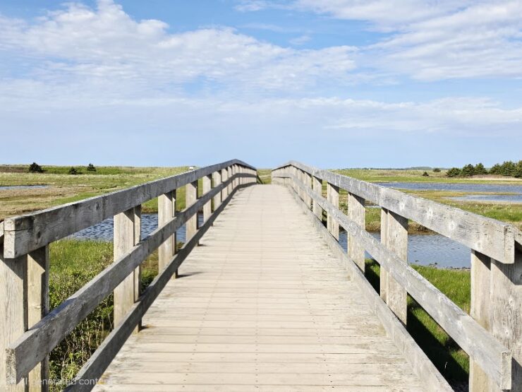 Boardwalk at Conrads Beach