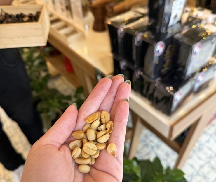 coffee beans at tour in Panama city old town called Giesha Experience
