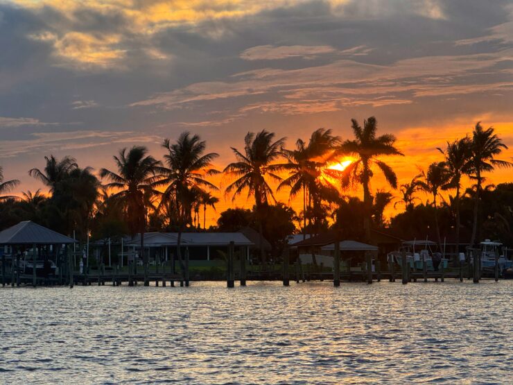 Silhouettes of palm trees against a sunset sky and a lake in the foreground