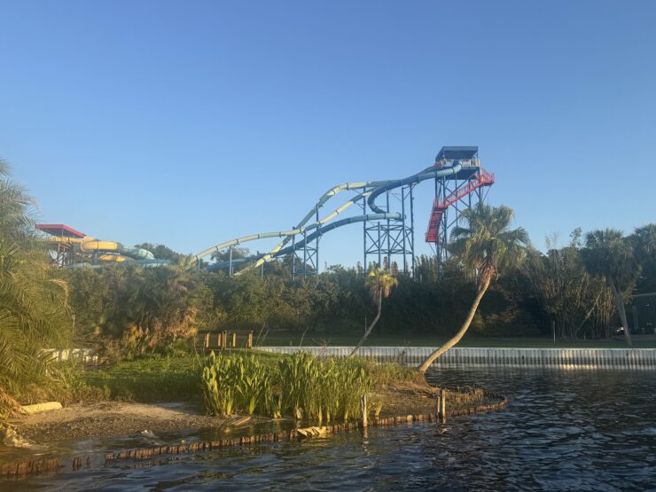 Lakeside view with trees and rollercoaster in the background