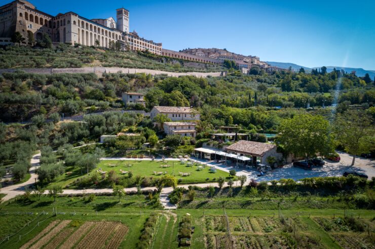 Fields with herbs growing below a blue skyline with a cathedral