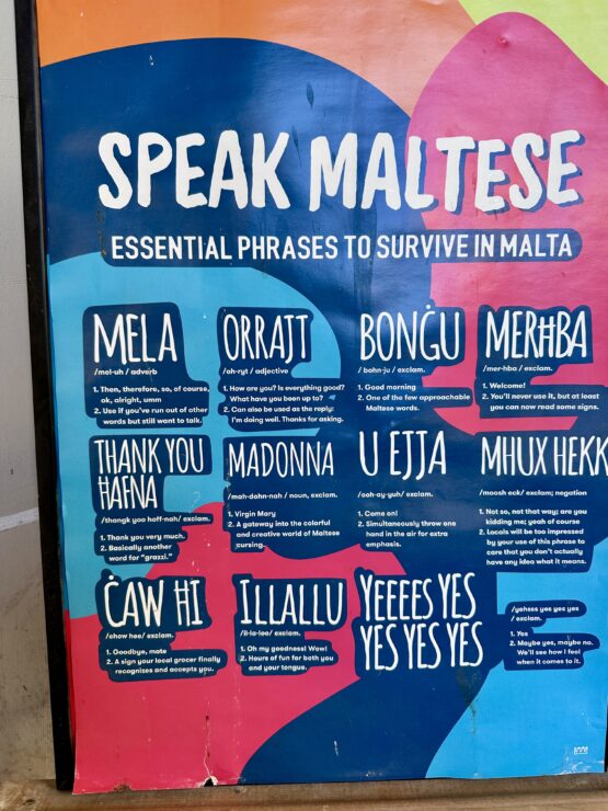 Handy poster with useful words and phrases in Maltese language