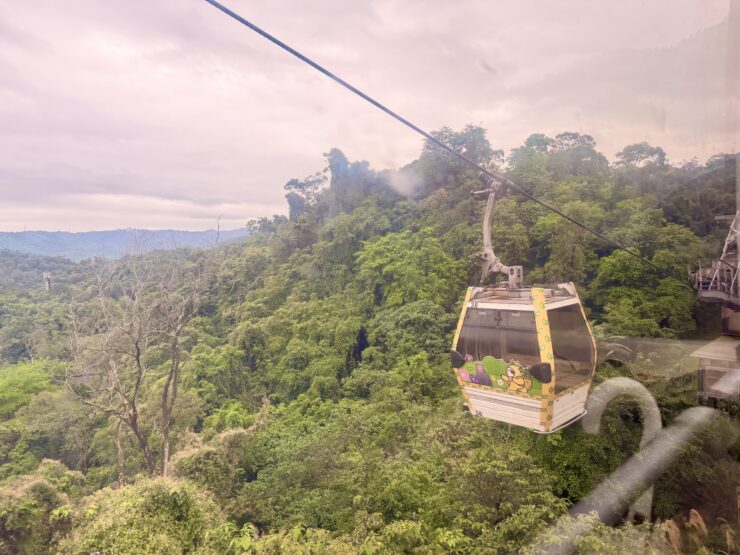 Maokong Gondola going up. Photo shows wire for gondola and views of a lush forest.