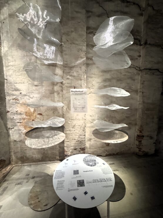 Bienale 2025 exhibit in Venice