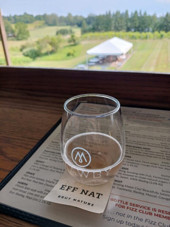 stemless wine glass resting on Mawby wine list, view of vineyards beyond