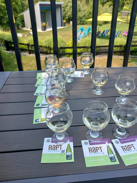 Multiple glasses of wine scattered across a table