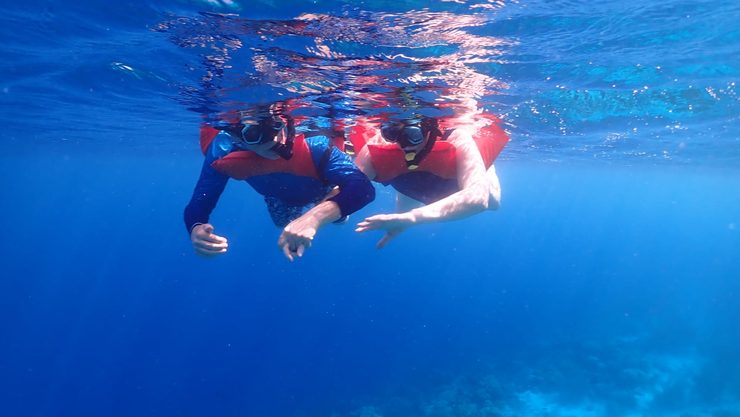 David & Susan snorkeling, holding hands